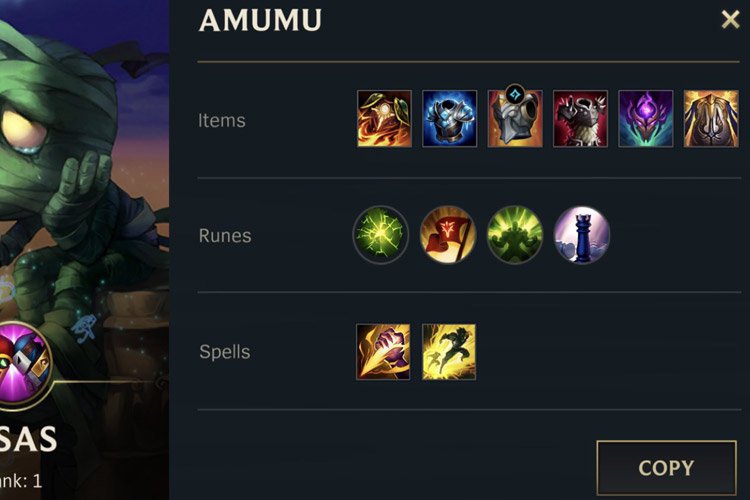 len do amumu-9