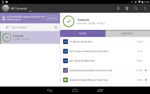 bittorrent pro-5