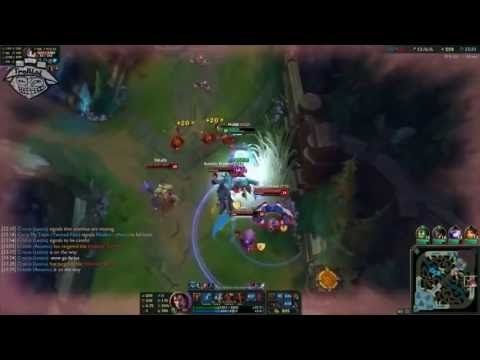 garen dame-6