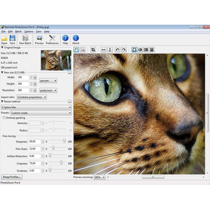 photozoom pro-1