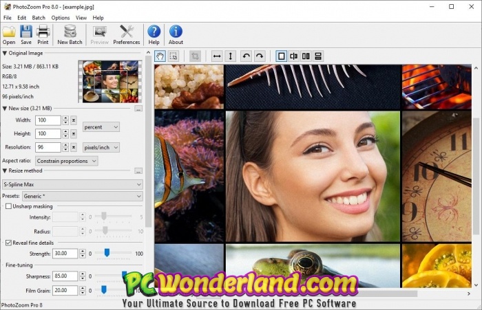 photozoom pro-7