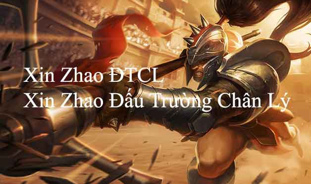 xin zhao dtcl-1