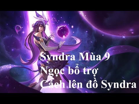 bảng syndra-8