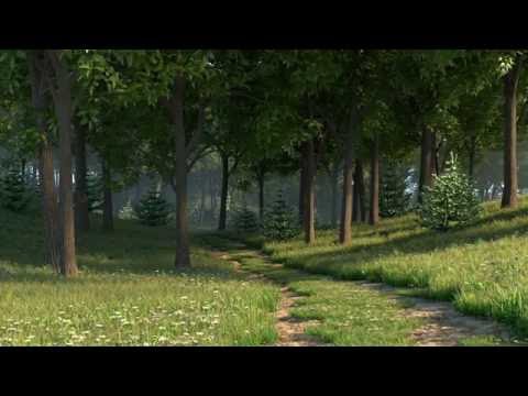 forest pack-3