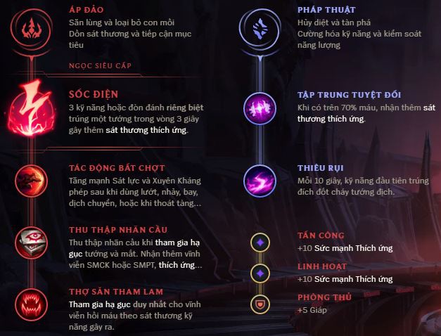 zed di top-0