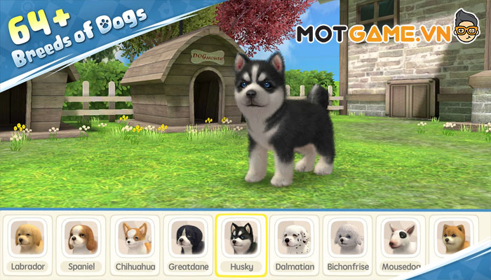 My Dog - Game mô phỏng nuôi thú ảo với hơn 60 giống chó!